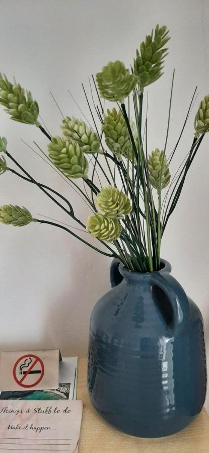 Kristina Stelios Apartment Platanés 部屋 写真
